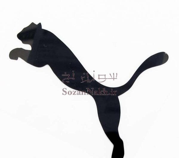 عکس پلنگ پوما