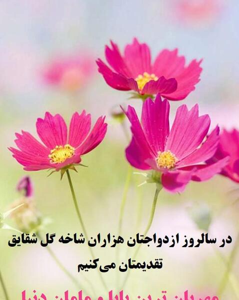 عکس سالگرد ازدواج مامان و بابا