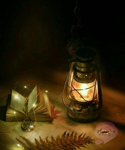 عکس نوشته شبتون شهدایی
