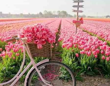 عکس نوشته صبح بخیر زیبا و پر انرژی
