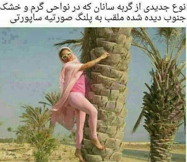 عکس پلنگ صورتی واقعی