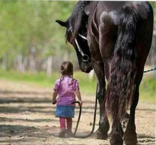 عکس دختر بچه و اسب