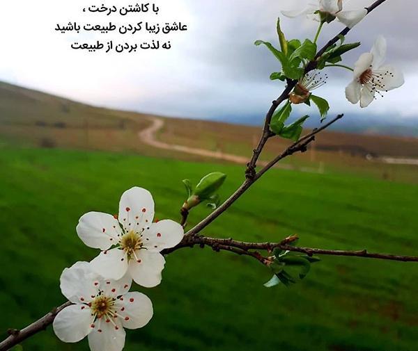 عکس جملات انگیزشی طبیعت