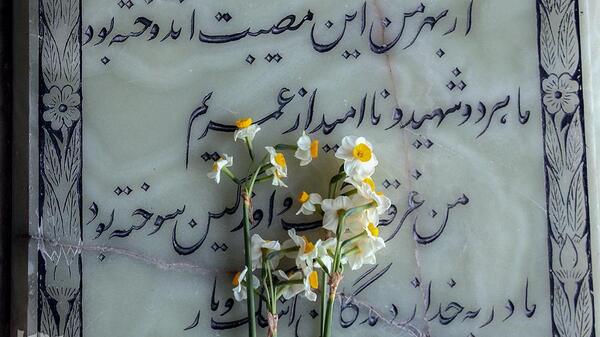 عکس گل نرگس روی سنگ قبر