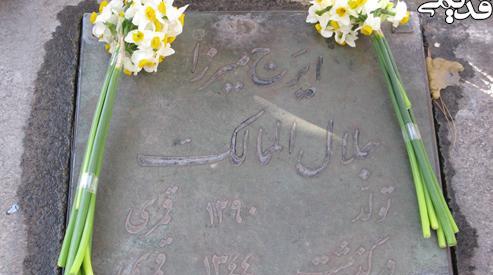 عکس گل نرگس روی سنگ قبر