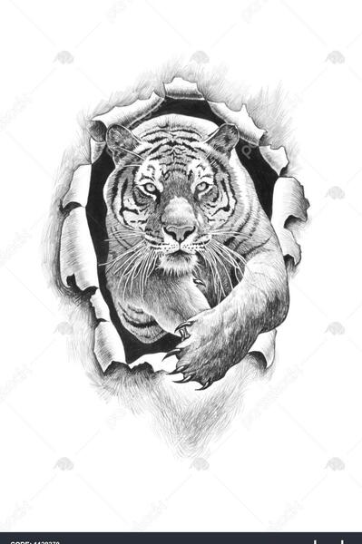 عکس ببر و پلنگ برای طراحی