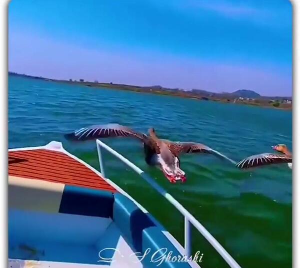 عکس جملات انگیزشی لذت بردن از زندگی