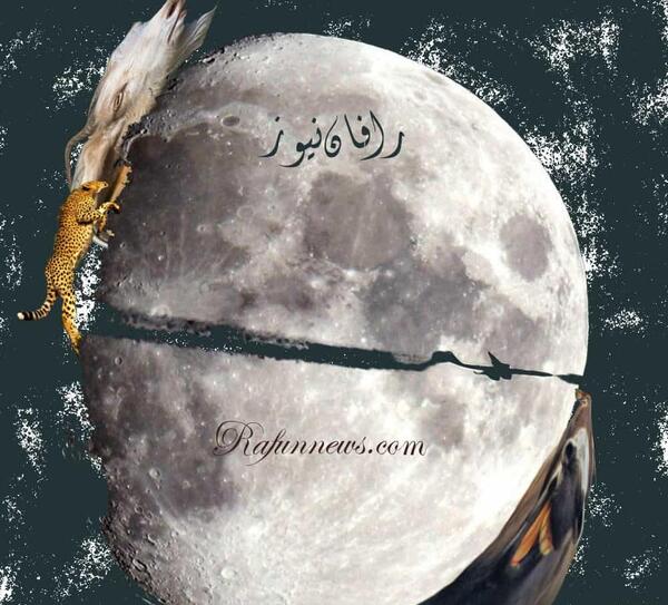 عکس پلنگ و ماه