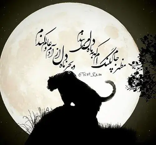 عکس پلنگ و ماه