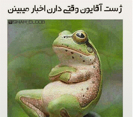 عکس باحال حیوان