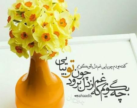 عکس گل نرگس برای عکس نوشته