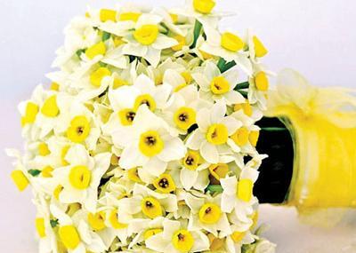 عکس گل نرگس در گلدان سفالی