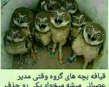 عکس باحال برای پروفایل گروه