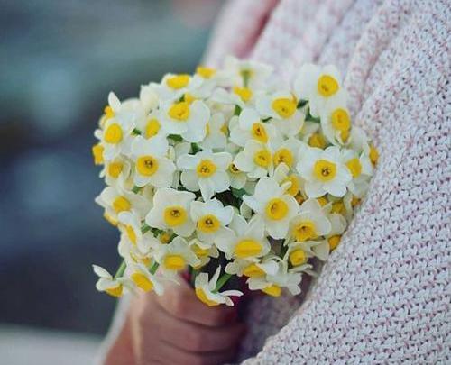 عکس عاشقانه با گل نرگس