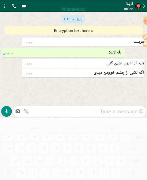 عکس حرف زدن مرینت و ادرین
