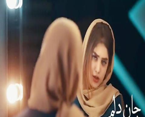 عکس خواننده زن نسترن
