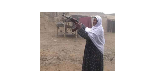 عکس کفتر پلنگ زرد