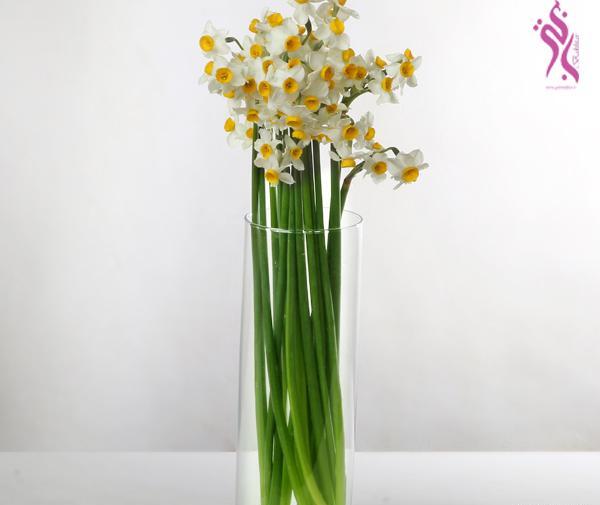 عکس یه دسته گل نرگس