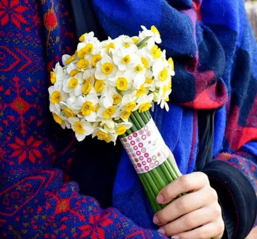 عکس یه دسته گل نرگس