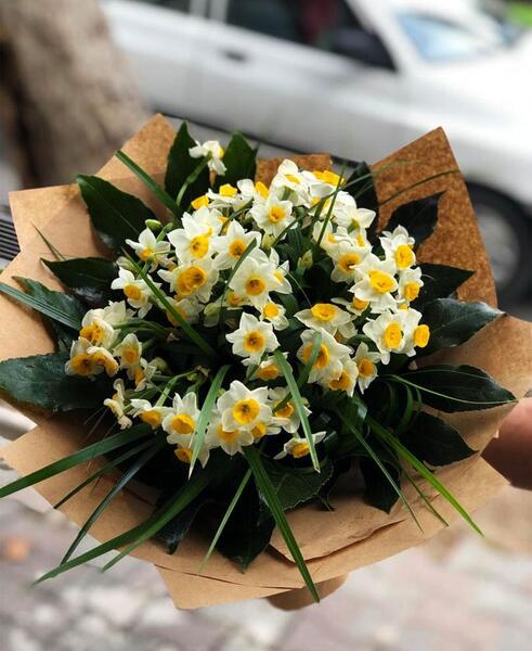 عکس یه دسته گل نرگس