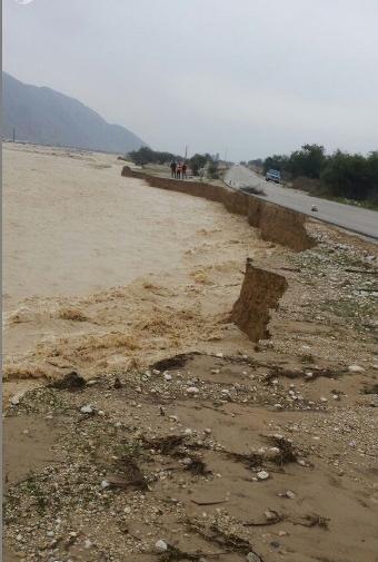 عکس پلنگ شاه پسر مرد