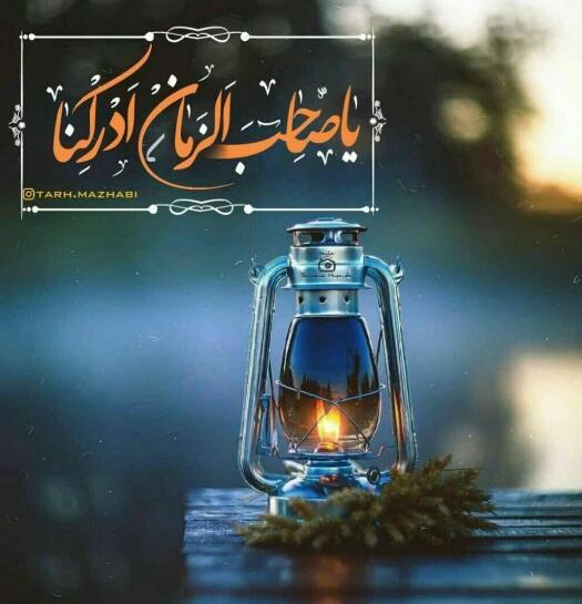 عکس شبتون مهدوی