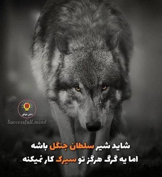 بهترین عکس پروفایل انگیزشی