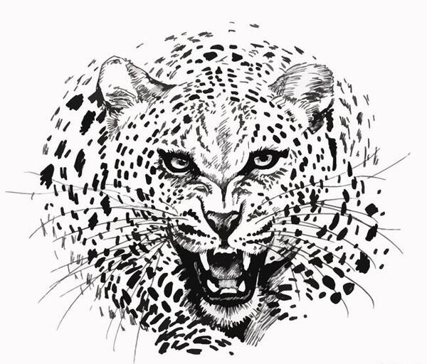 عکس پلنگ گرافیکی
