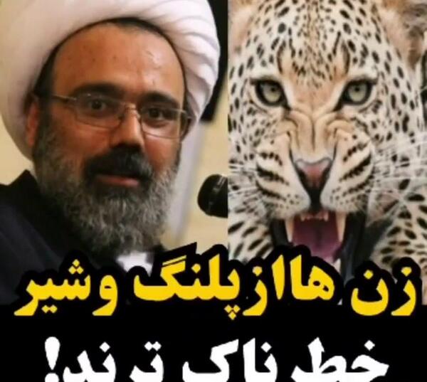 عکس پلنگ زن