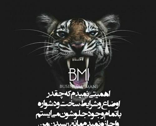 عکس پلنگ همراه با متن