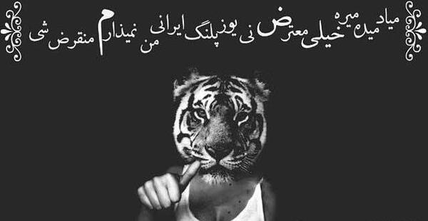 عکس پلنگ عاشقانه
