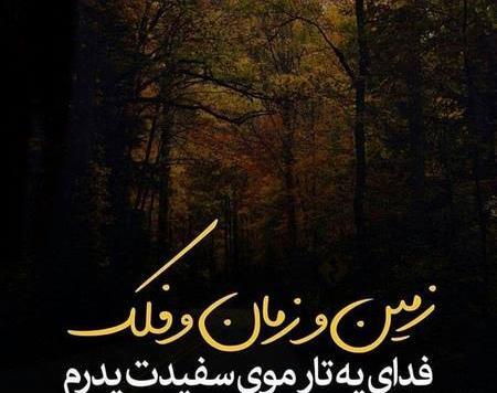 بهترین عکس پروفایل روز پدر