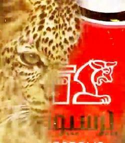 عکس پلنگ پرسپولیسی