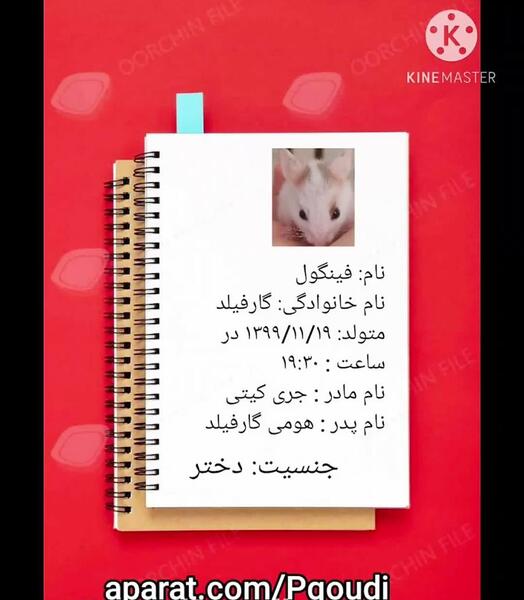 عکس شناسنامه همستر