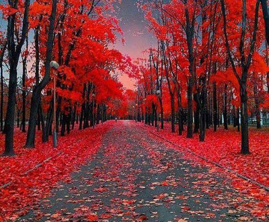 دانلود عکس پروفایل طبیعت
