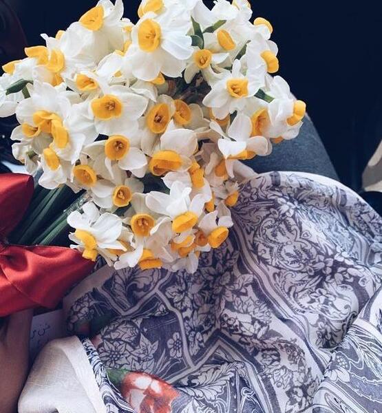 عکس پروفایل گل نرگس اینستا