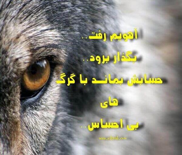 عکس پلنگ نوشته دار