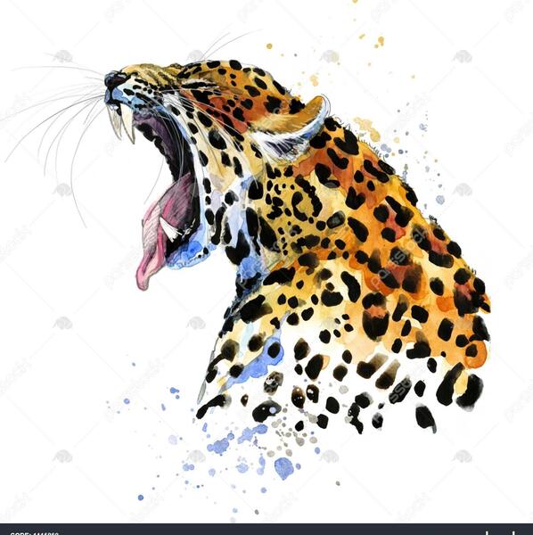 عکس پلنگ نقاشی