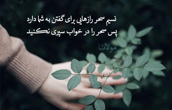 عکس جملات انگیزشی شب بخیر