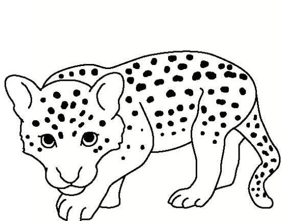 عکس طراحی پلنگ