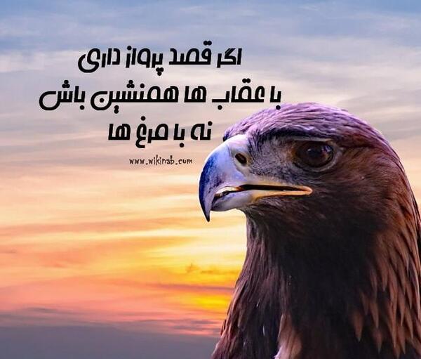 عکس نوشته انگیزشی عقاب
