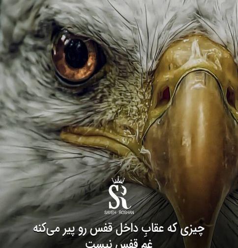 عکس نوشته انگیزشی عقاب