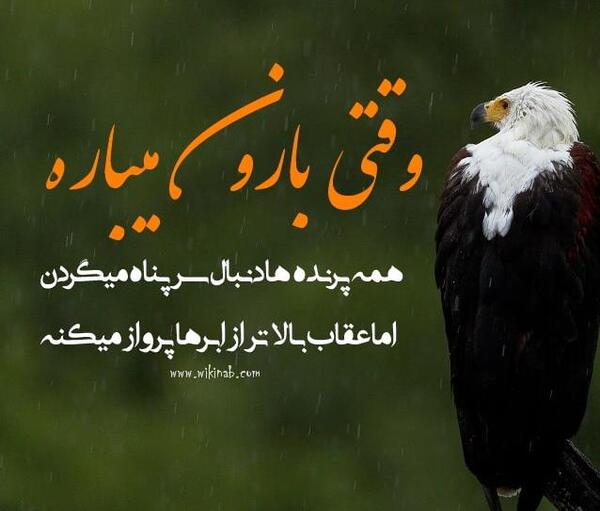 عکس نوشته انگیزشی عقاب