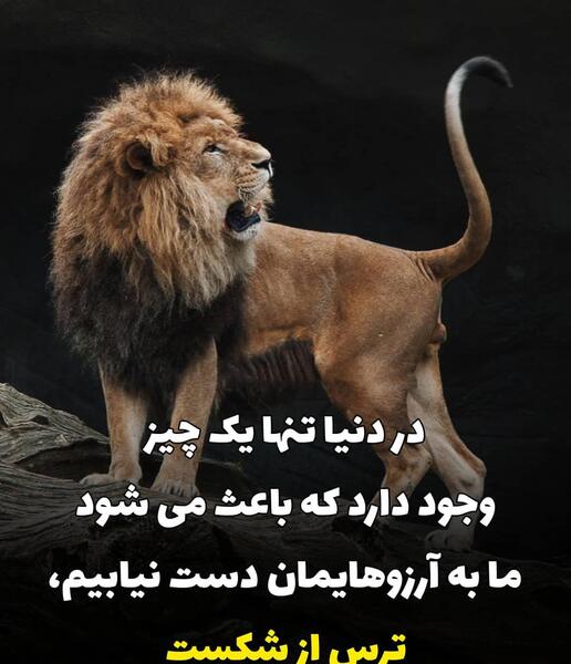 عکس نوشته انگیزشی شیر
