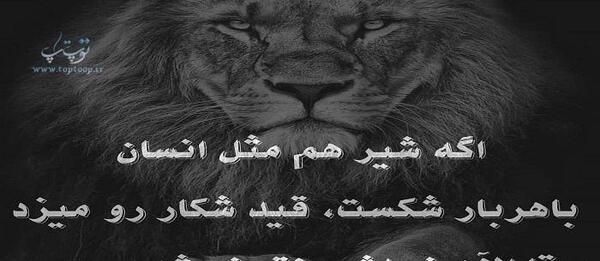 عکس نوشته انگیزشی شیر