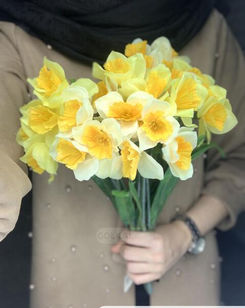 عکس زیبای گل نرگس