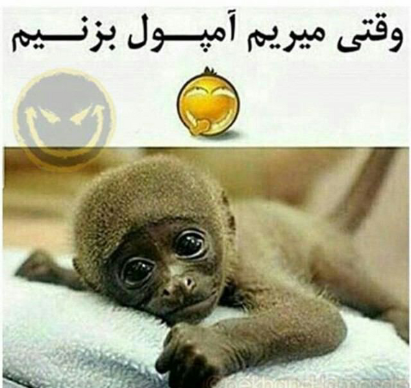 عکس باحال آمپول