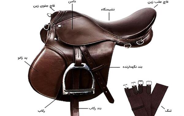 عکس اسب زین شده