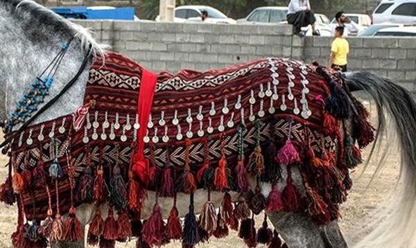 عکس اسب زین شده
