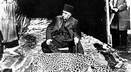 عکس پلنگ شاه